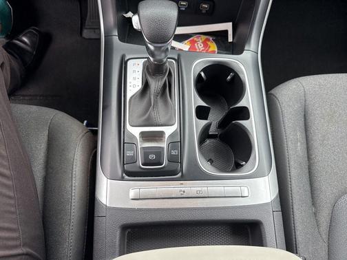 Panthera Metal 2023 Kia Carnival LX