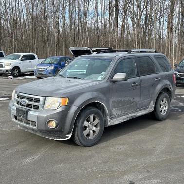 2011 Ford Escape Limited