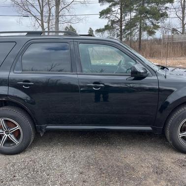 2009 Ford Escape XLT