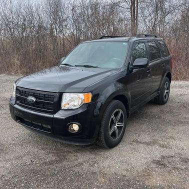 2009 Ford Escape XLT
