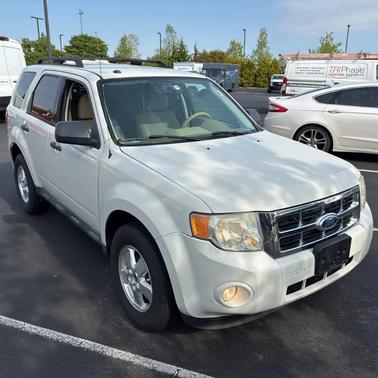 WHITE 2010 Ford Escape XLT