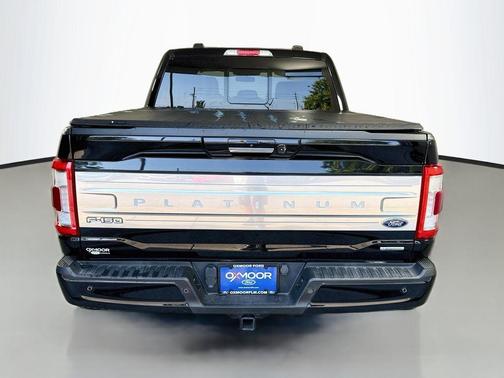 Agate Black Metallic 2021 Ford F-150 Platinum