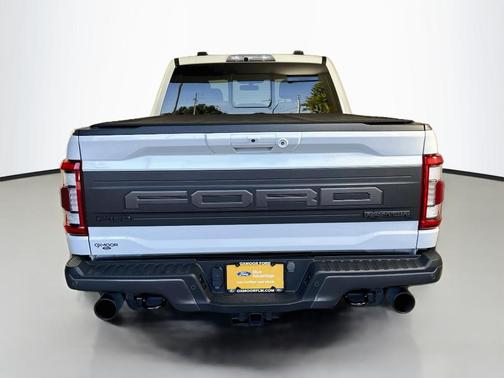 Avalanche 2023 Ford F-150 Raptor