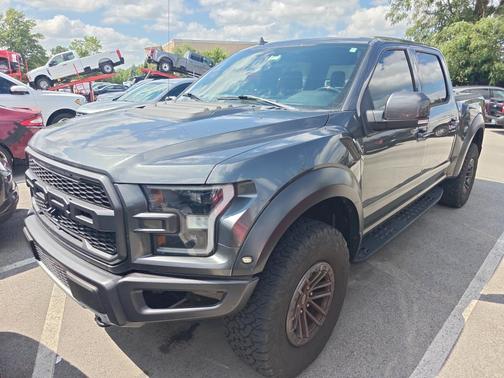 Magnetic Metallic 2019 Ford F-150 Raptor