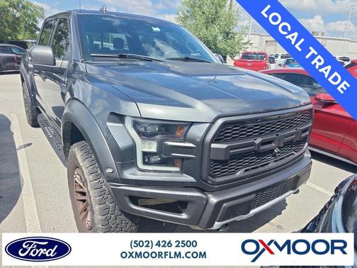 Magnetic Metallic 2019 Ford F-150 Raptor