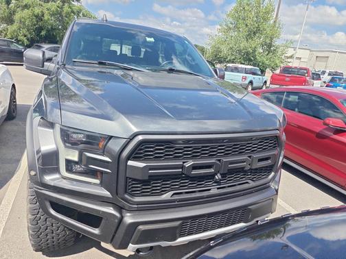 Magnetic Metallic 2019 Ford F-150 Raptor