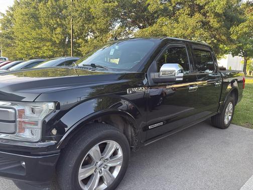 Shadow Black 2018 Ford F-150 Platinum