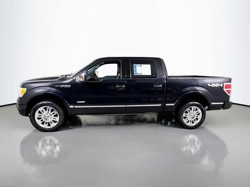 Tuxedo Black Metallic 2012 Ford F-150 Platinum