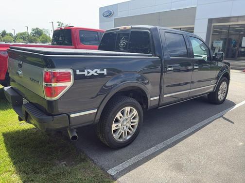 Tuxedo Black Metallic 2012 Ford F-150 Platinum