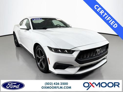 Oxford White 2025 Ford Mustang EcoBoost