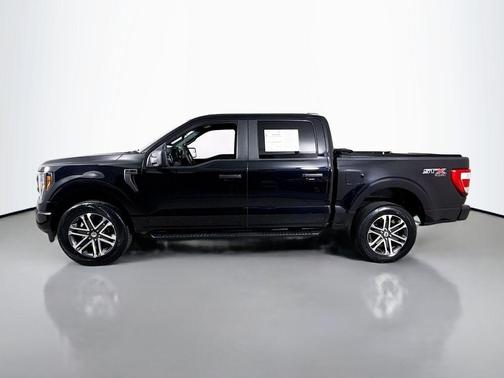 Agate Black Metallic 2023 Ford F-150 XL