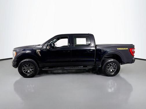 Agate Black Metallic 2023 Ford F-150 Tremor