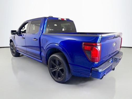 Argon 2026 Ford F-150 STX