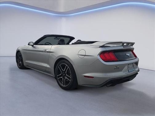 Ingot Silver Metallic 2019 Ford Mustang EcoBoost Premium