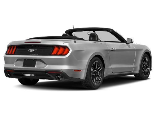 Ingot Silver Metallic 2019 Ford Mustang EcoBoost Premium