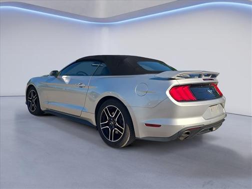 Ingot Silver Metallic 2019 Ford Mustang EcoBoost Premium
