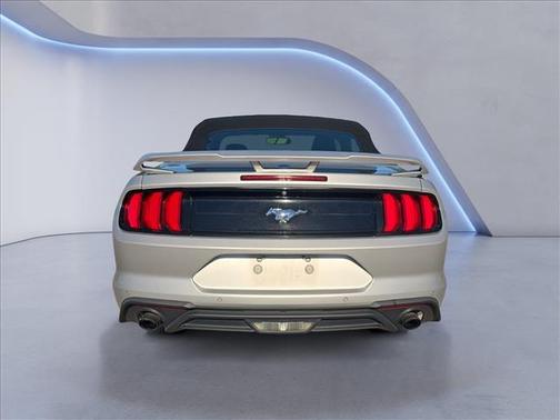 Ingot Silver Metallic 2019 Ford Mustang EcoBoost Premium