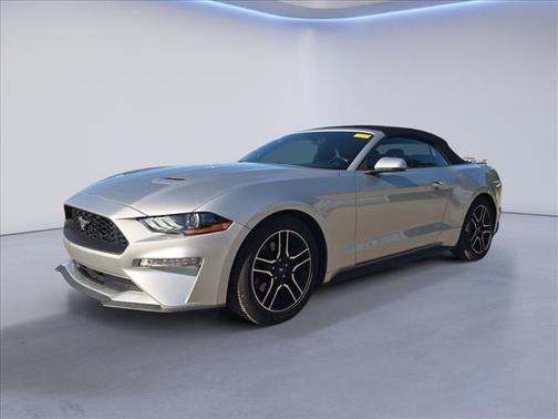 Ingot Silver Metallic 2019 Ford Mustang EcoBoost Premium