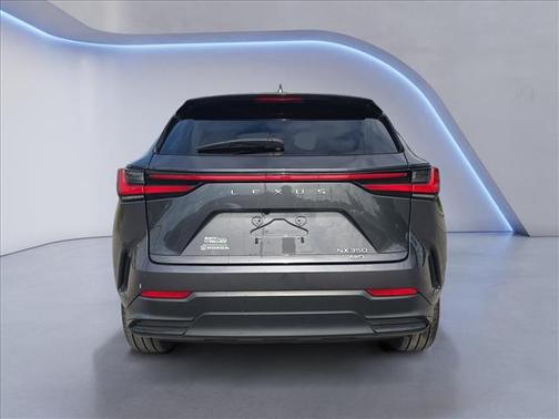 Cloudburst Gray 2022 Lexus NX 350 Premium
