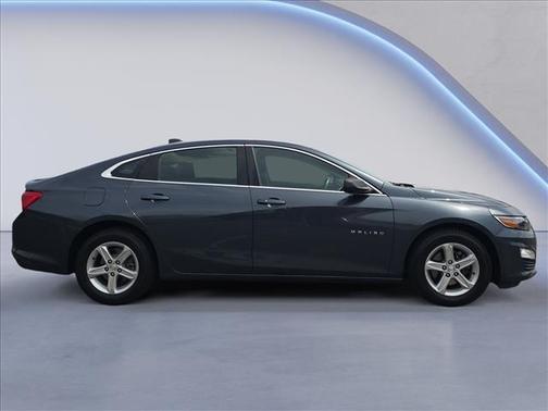 Shadow Gray Metallic 2019 Chevrolet Malibu 1LS