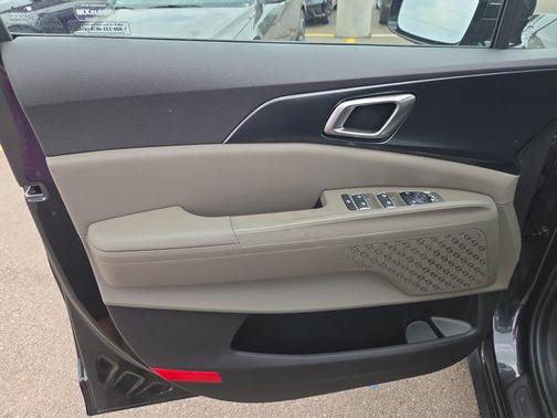 Panthera Metal 2026 Kia Carnival LX
