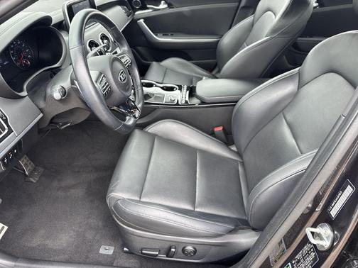 Panthera Metal 2020 Kia Stinger GT-Line