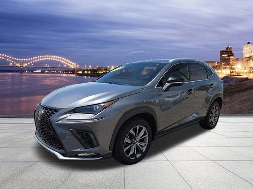 Nebula Gray Pearl 2019 Lexus NX 300 F Sport