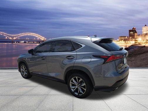 Nebula Gray Pearl 2019 Lexus NX 300 F Sport