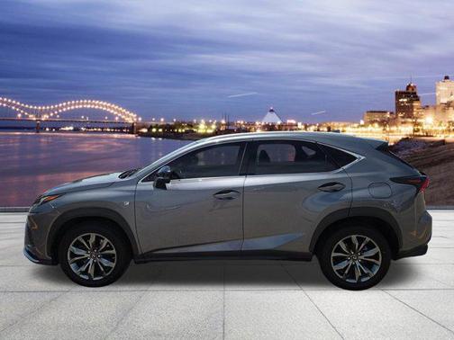 Nebula Gray Pearl 2019 Lexus NX 300 F Sport