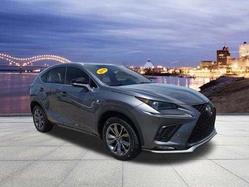 Nebula Gray Pearl 2019 Lexus NX 300 F Sport