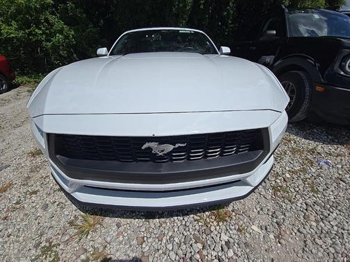 Oxford White 2025 Ford Mustang EcoBoost Premium