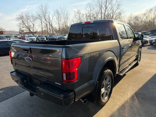 Magnetic 2019 Ford F-150 Lariat