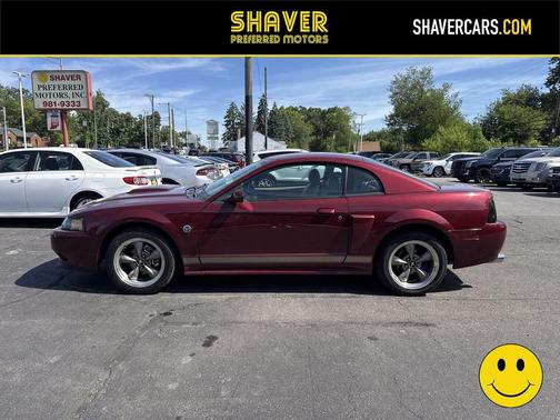 BURGUNDY 2004 Ford Mustang GT