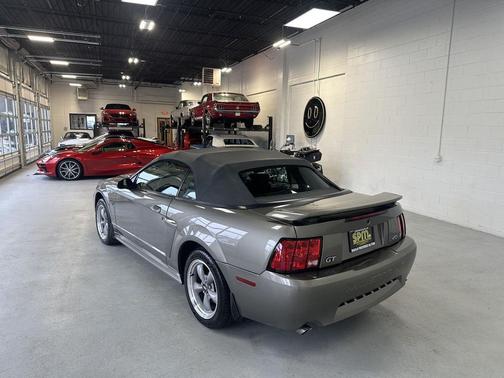Mineral Gray Clearcoat Metallic 2002 Ford Mustang GT