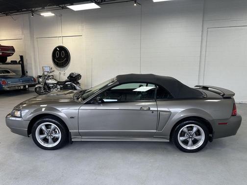 Mineral Gray Clearcoat Metallic 2002 Ford Mustang GT