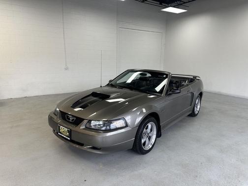 Mineral Gray Clearcoat Metallic 2002 Ford Mustang GT
