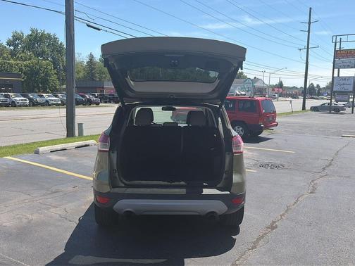 Ginger Ale Metallic 2014 Ford Escape Titanium