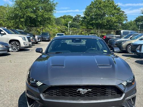 2023 Ford Mustang EcoBoost