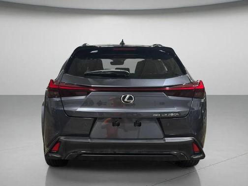 2023 Lexus UX 250h F Sport