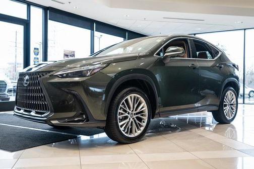 2025 Lexus NX 350 Premium