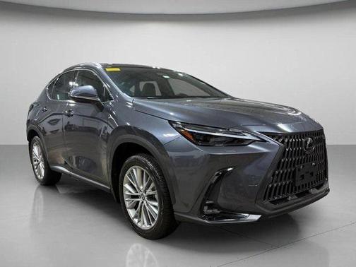 2024 Lexus NX 350 Luxury