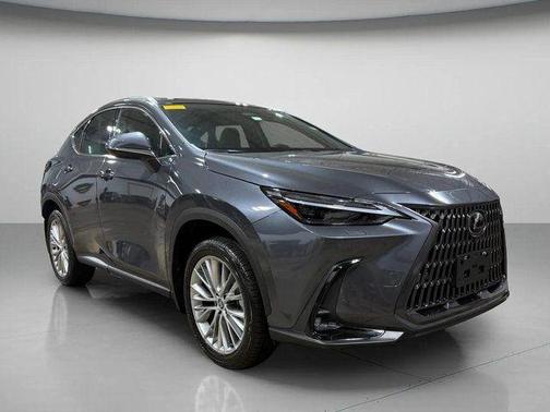 2024 Lexus NX 350 Luxury