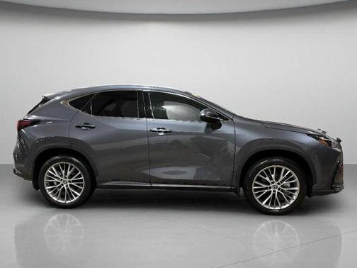 2024 Lexus NX 350 Luxury