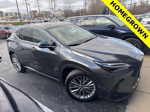 2024 Lexus NX 350 Luxury
