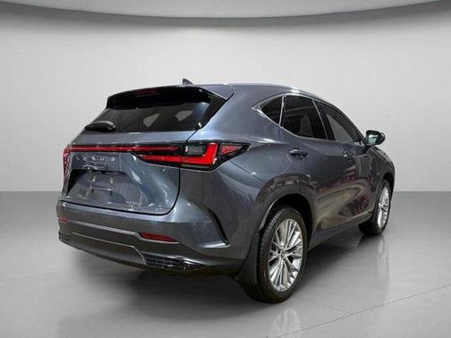 2024 Lexus NX 350 Luxury