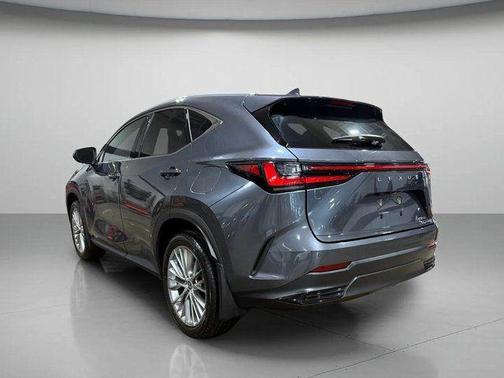 2024 Lexus NX 350 Luxury