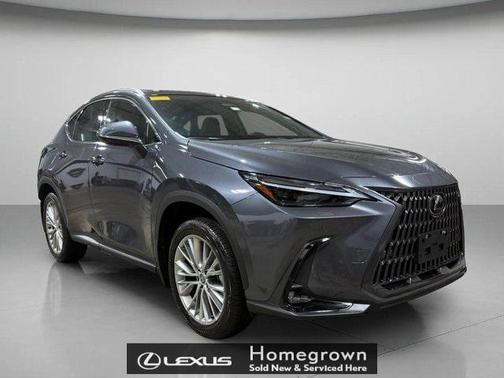 2024 Lexus NX 350 Luxury