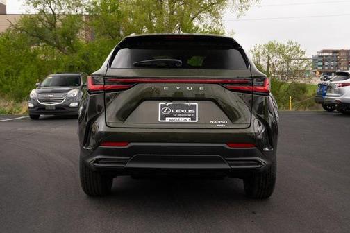2025 Lexus NX 350 350 Base