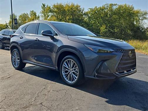 2025 Lexus NX 350h Premium