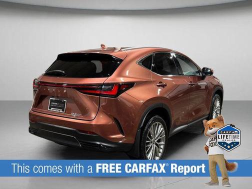 2025 Lexus NX 350h Premium